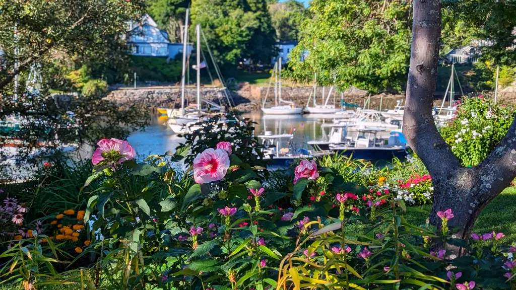 A view of Perkins Cove with several colorful boats floating.